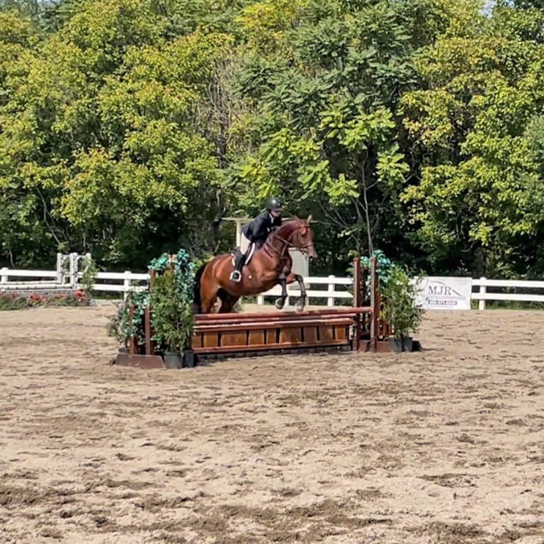 Maryland Horse and Pony Show Penny Leigh LLC