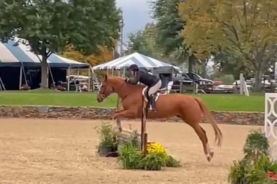 WIHS-Harrisburg-4